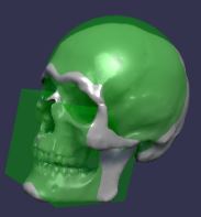 Compound Skull